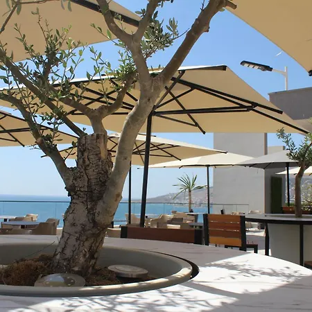 The Queen's Lion Premium Sarande